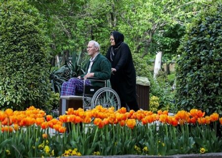 افزایش جمعیت سالمند در اردبیل نگران کننده است