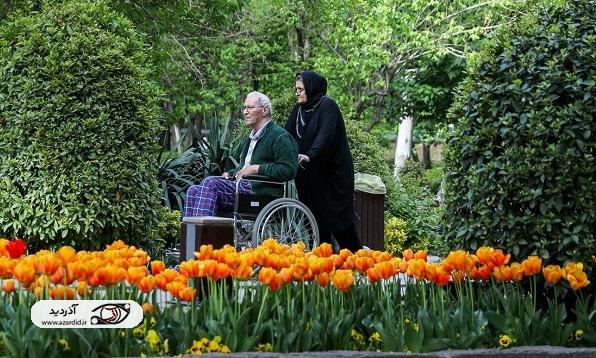 افزایش جمعیت سالمند در اردبیل نگران کننده است