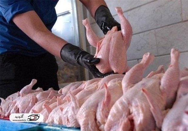 افزایش ۲ برابری عرضه مرغ در اردبیل