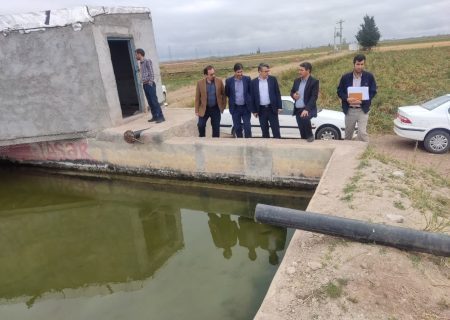 بازدید معاون حقوق عامه دادستانی مرکز استان اردبیل از مزارع تولید کنندگان موفق گندم و سیب زمینی استان