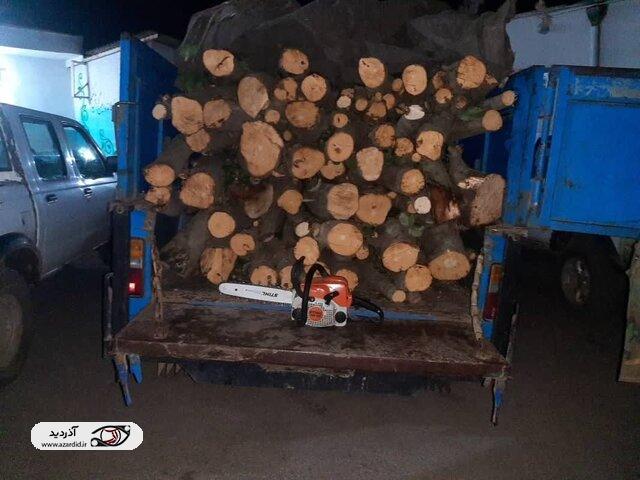 دستگیری قاچاقچی چوب جنگلی