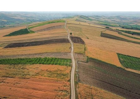 طرح جهش تولید در ۳۶۰ هزار هکتار از دیمزار استان اردبیل اجرا می‌شود