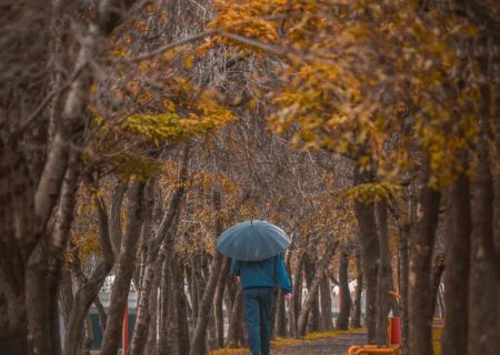 برگ‌های پاییزی در ۷نقطه شهر اردبیل جمع آوری نمی‌شود