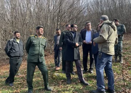 اجازه جنگل زدایی به فرصت طلبان سودجو را نخواهیم داد