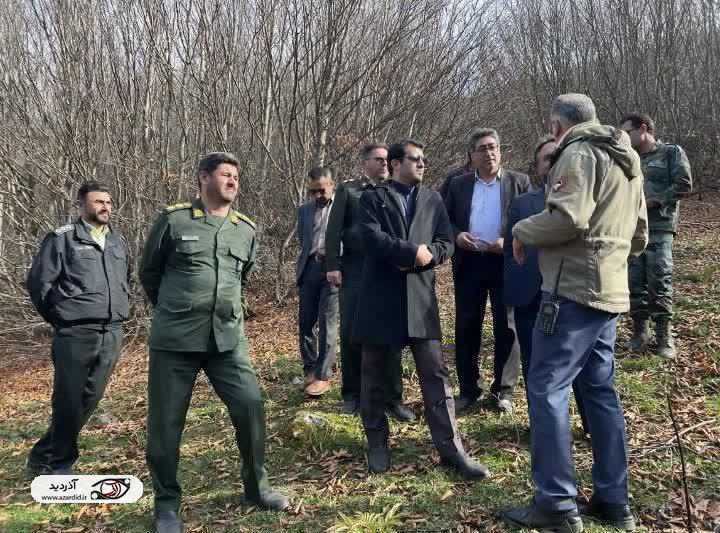 اجازه جنگل زدایی به فرصت طلبان سودجو را نخواهیم داد
