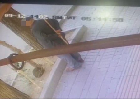 دستگیری فرد حیوان‌ آزار در اردبیل