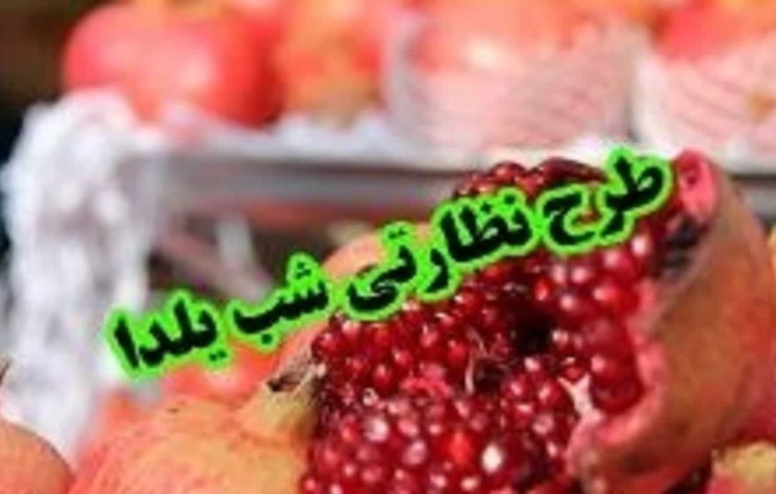 اجرای طرح نظارتی ویژه بازار شب یلدا در استان اردبیل
