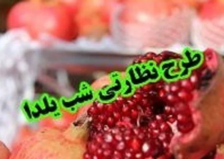 اجرای طرح نظارتی ویژه بازار شب یلدا در استان اردبیل