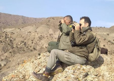 آغاز سرشماری حیات وحش مناطق حفاظت شده جنوب استان اردبیل