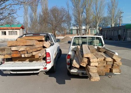 کشف و ضبط ۵۶اصله الوار قاچاق جنگلی در اردبیل