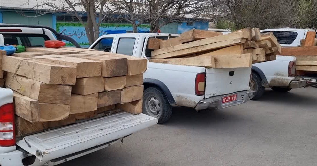 قاچاقچیان چوب در دام ماموران یگان حفاظت منابع طبیعی استان اردبیل