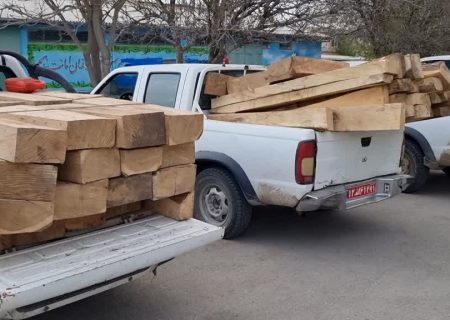 قاچاقچیان چوب در دام ماموران یگان حفاظت منابع طبیعی استان اردبیل