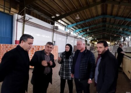 بازدید سرزده ازواحدهای تولیدی استان اردبیل