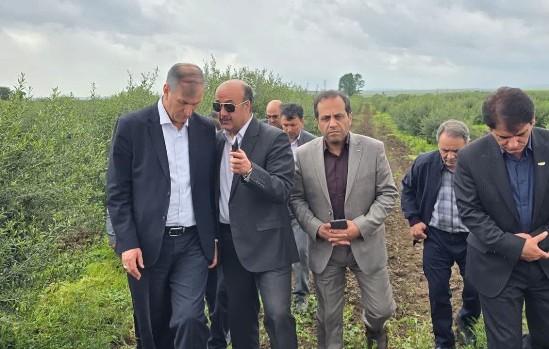 بازدید معاون وزیر جهاد کشاورزی از پروژههای باغبانی استان اردبیل