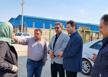 تحقق خدمت رسانی به واحدهای تولیدی در شهرک صنعتی۲ اردبیل