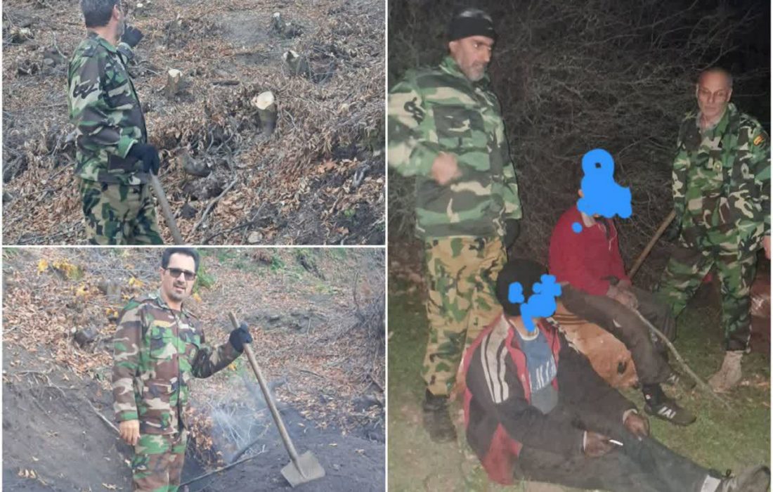 عاملان قطع درختان جنگلی منطقه سوها قبلا دستگیر و تحویل دستگاه قضایی شده اند