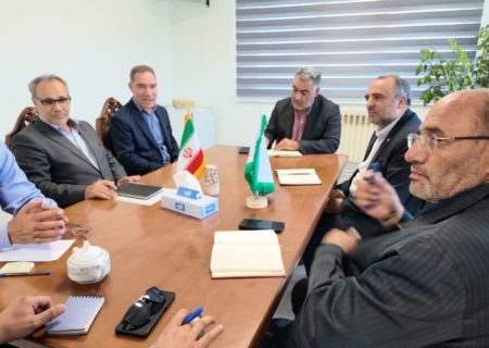 دست دلالان از بازار دام عشایر کوتاه شد / آغاز طرح خرید مستقیم دام در اردبیل با شرایط پرداخت تضمینی