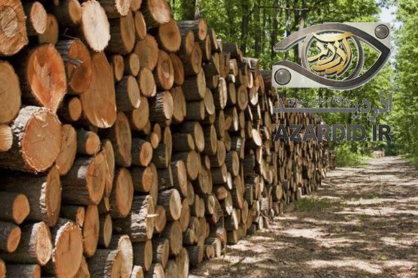 کشف ۱۹ میلیاردی فرآوردههای جنگلی قاچاق در اردبیل